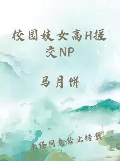 校园妓女高H援交NP